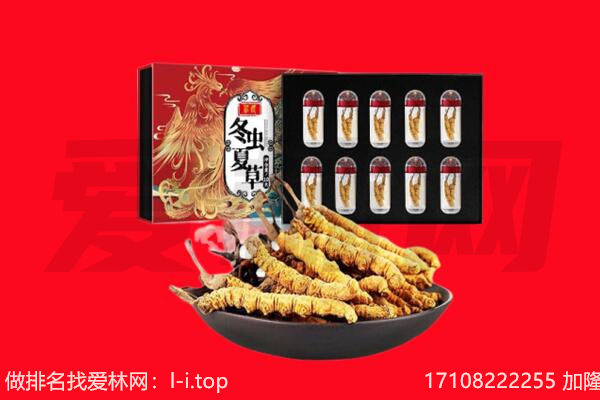 呼伦贝尔新巴尔虎左旗回收虫草.jpg
